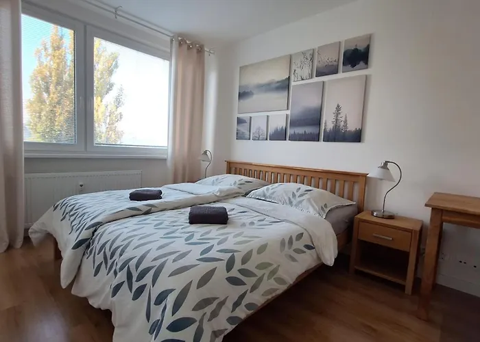 Spacious In The Park